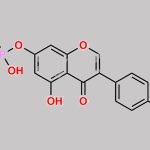 Genistein 7-O-phosphate CAS#: 386285-70-7