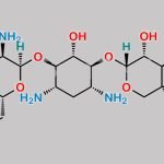 Gentamicin C1a CAS#: 26098-04-4