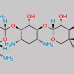 Gentamicin C2 CAS#: 25876-11-3