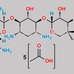 Gentamicin C2 Pentaacetate (2 : 1 Mixture of C2 and C2a) CAS#: N/A