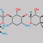 Gentamicin C2a CAS#: 59751-72-3