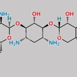 Gentamicin C2b CAS#: 52093-21-7