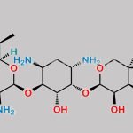 Gentamicin Impurity 10 CAS#: N/A
