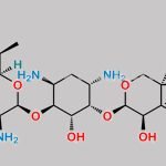 Gentamicin Impurity 11 CAS#: N/A