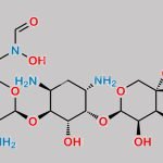 Gentamicin Impurity 12 CAS#: N/A