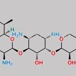 Gentamicin Impurity 3 CAS#: N/A