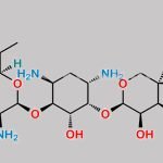 Gentamicin Impurity 4 CAS#: N/A