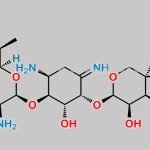 Gentamicin Impurity 7 CAS#: N/A