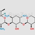 Gentamicin Impurity 8 CAS#: N/A