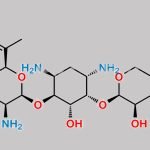 Gentamicin Impurity 9 CAS#: N/A