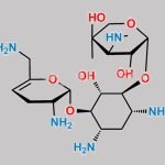 Gentamicine Sulphate EP Impurity A CAS#: N/A