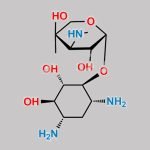Gentamicine Sulphate EP Impurity B CAS#: 49751-51-1
