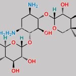 Gentamicine Sulphate EP Impurity C CAS#: 36889-16-4