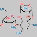 Gentamicine Sulphate EP Impurity D CAS#: N/A
