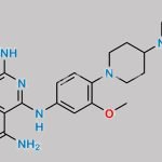 Gilteritinib CAS#: 1254053-43-4