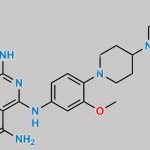 Gilteritinib N-Methyl N-Oxide Impurity CAS#: N/A