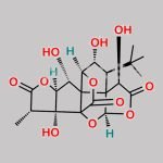 Ginkgolide Impurity C CAS#: 15291-76-6