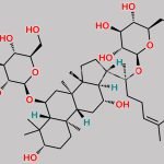 Ginsenoside Rg1 CAS#: 22427-39-0