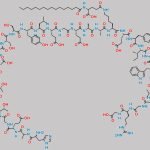 Glu (17)-Liraglutide CAS#: N/A