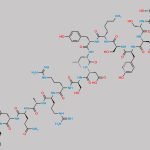 Glu 24-Glucagon CAS#: 308356-99-2