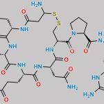 Glu (4) Vasopressin CAS#: N/A
