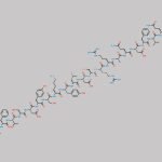 Glucagon CAS#: 16941-32-5