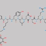 Glucagon Di-Lactose Adduct 2 (Lys-His-NH2) CAS#: N/A