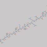 Glucagon Impurity 3 CAS#: N/A
