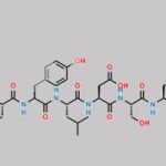 Glucagon Lactose Adduct 1 (Hist-NH2) CAS#: N/A