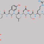 Glucagon Lactose Adduct 3 (Lys-NH2) CAS#: N/A
