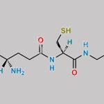 Glutathione CAS#: 70-18-8