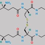 Glutathione EP Impurity C CAS#: 27025-41-8