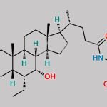 Glyco Obeticholic Acid CAS#: 863239-60-5