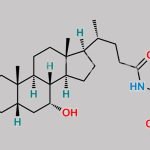 Glycochenodeoxycholic Acid CAS#: 640-79-9