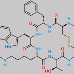 Glycoglycoyl-Lys-Octreotide CAS#: N/A