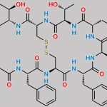 GlycoGlycoyl-Phe1-Octreotide CAS#: N/A