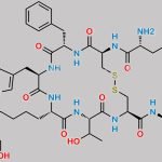 Glycolyl-Lysyl Octreotide CAS#: N/A