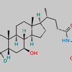 Glycoursodeoxycholic Acid-D4 CAS#: 2044276-17-5