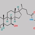 Glycoursodeoxycholic Acid-d5 CAS#: N/A