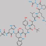 Goserelin EP Impurity F CAS#: 1426173-74-1