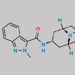 Granisetron EP Impurity A CAS#: 127472-42-8