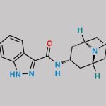 Granisetron EP Impurity B CAS#: 107007-95-4