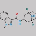 Granisetron EP Impurity C CAS#: 160177-67-3