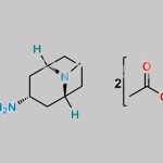 Granisetron EP Impurity E CAS#: 1174751-61-1