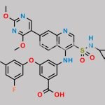 GSK 2837808A CAS#: 1445879-21-9