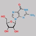 Guanosine CAS#: 118-00-3