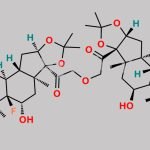 Halcinonide Impurity 1 CAS#: N/A