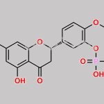 Hesperetin 3'-O-phosphate CAS#: 287109-36-8