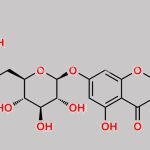 Hesperetin 7-O-Rutinoside CAS#: 64726-90-5