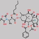 Hexanoyl Docetaxel Metabolites M1 and M3 (Mixture of Diastereomers) CAS#: N/A